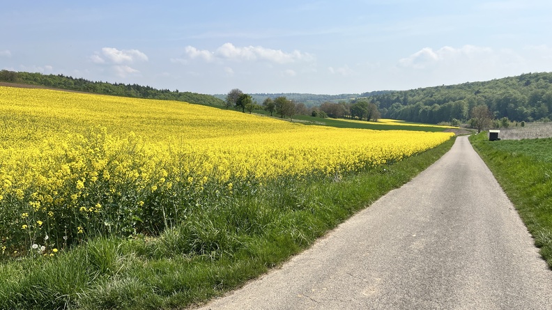 22-05-02 11-57-21 0713.jpg